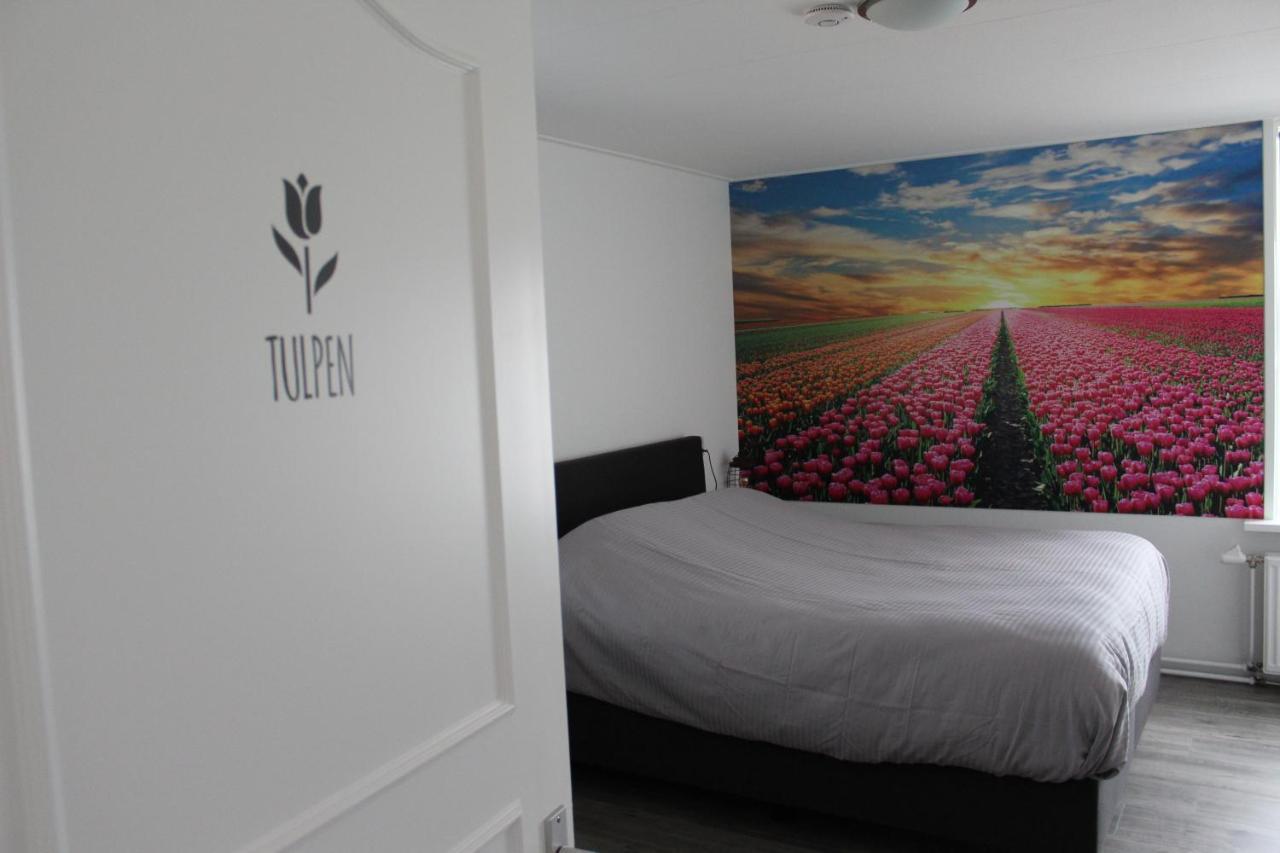 Bed and Breakfast Slapen Bij De Buurvrouw Castricum Zewnętrze zdjęcie