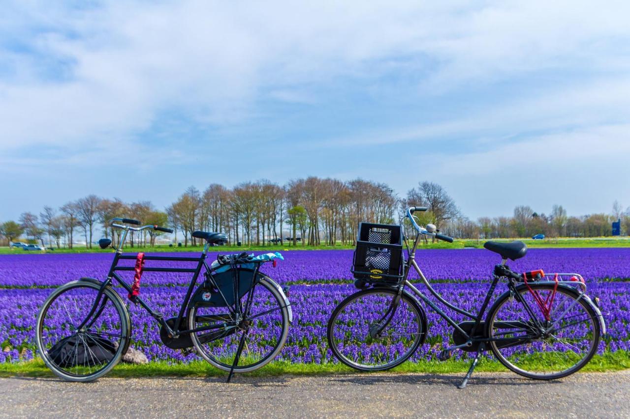 Bed and Breakfast Slapen Bij De Buurvrouw Castricum Zewnętrze zdjęcie